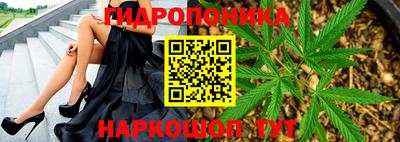 стафф Добрянка